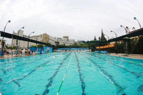 区体育局召开2021年游泳场所夏季开放服务工作总结大会