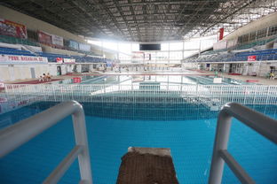 冬天也能游泳啦 株洲市全民健身服务中心游泳馆全年恒温开放